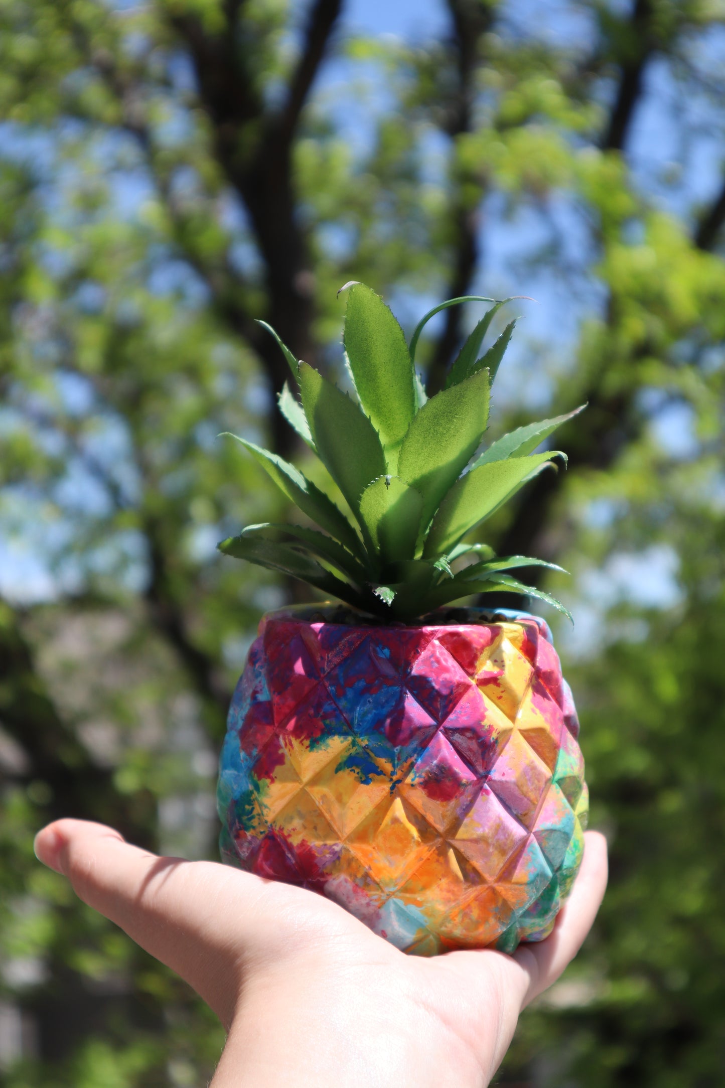 pineapple plant - beach house decor