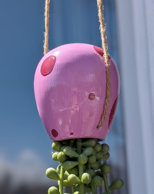 Pink fake succulent hanging plant, painted to look like a jellyfish from spongebob, outside in the sunlight