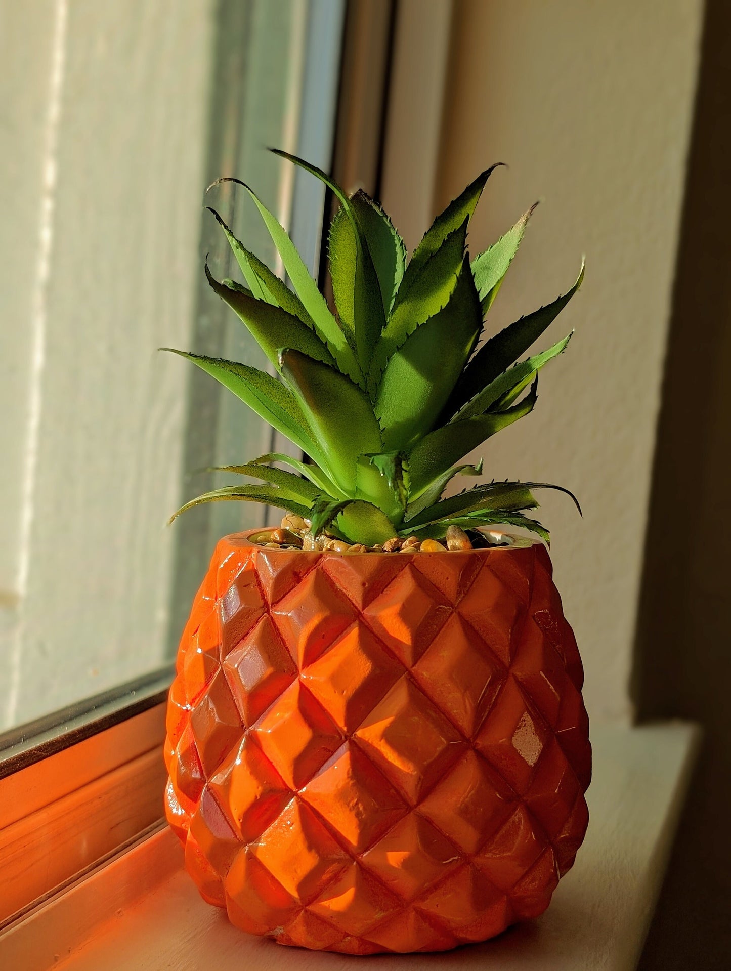 bright orange pinapple succulent on windowsill in sunshine