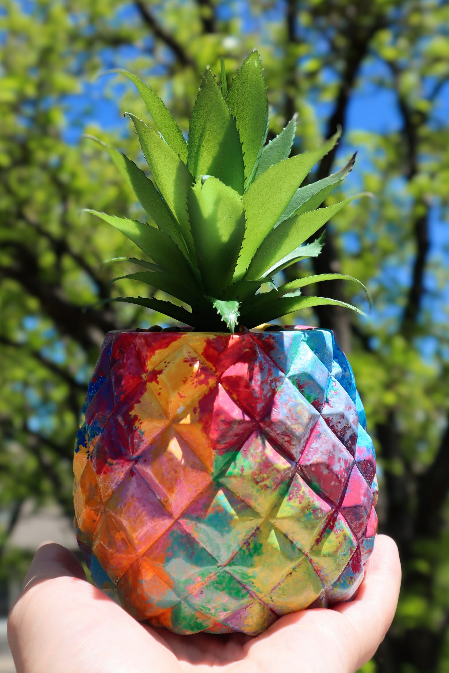 rainbow pineapple succulent in the sunlight up close